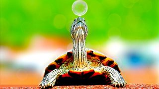 【2017/12/17~12/23計画】不況とバブルを知っている僕の強いところ