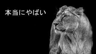 どうしたらアフィリエイトで生き残れるのか対策